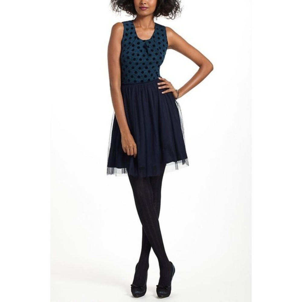Anthropologie Weston Wear  Sasonger Tulle Dress